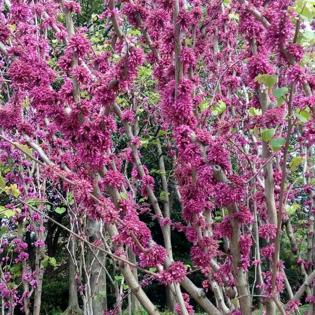 直播第七轮:"云帆杯"南平市第二届足球联赛